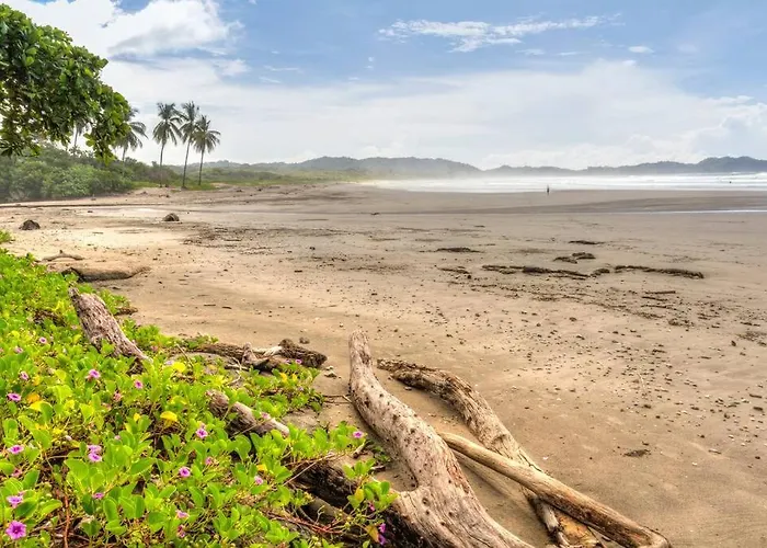 The Jungle Loft, 7 Min Walk To Guiones + Jacuzzi Villa